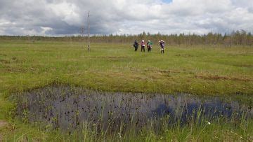 feo system.com|FEO – Finnish Ecosystem Observatory.